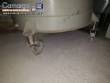 Tanque pl�stico industrial de pol�mero polipropileno 2000 L Grabe