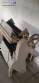 Linha cont�nua de macarr�o 600 Kg / hora Indiana