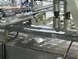 Linha completa para fabrica��o de massas longas macarr�o espaguete spaguetti  Forteusi 2000 kg