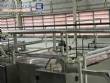 Linha completa para fabrica��o de massas longas macarr�o espaguete spaguetti  Forteusi 2000 kg