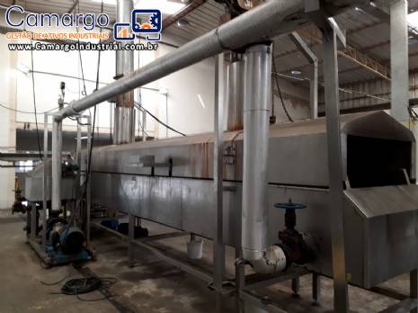 Linha cont�nua para batata chips e palha MCI 600 kg