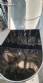 Envasadora de sache stick sacheteira p�s l�quidos 12 vias IMA Tecmar